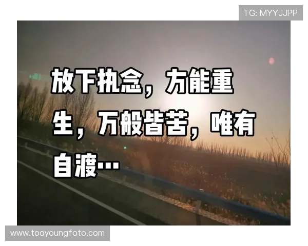 不如不见：一场关于放下与重生的心灵之旅