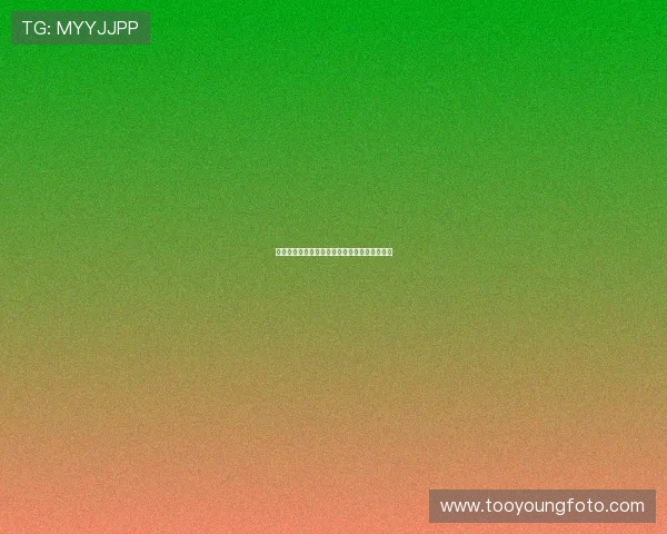 五觉交响，粤语风华：一场穿越时空的感官盛宴