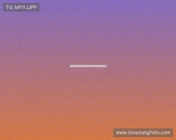 战国乱世的英雄史诗：重温《真田太平记》的传奇与魅力