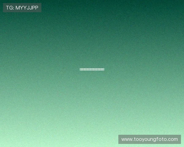 玉面飞狐：一段恩怨情仇的江湖传奇